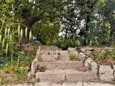 Se l�edificio appare nel complesso ben tenuto, purtroppo non si pu� dire altrettanto del bel giardino che un tempo la circondava. Una vegetazione lussureggiante � cresciuta quasi incontrollata: il raffinato acanto domina gli spazi che pu� e dei vialetti e delle aiuole di un tempo si intravede ormai ben poco
